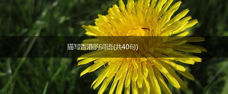 描写香港的词语(共40句),第1张