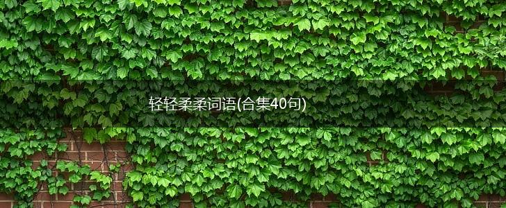轻轻柔柔词语(合集40句),第1张
