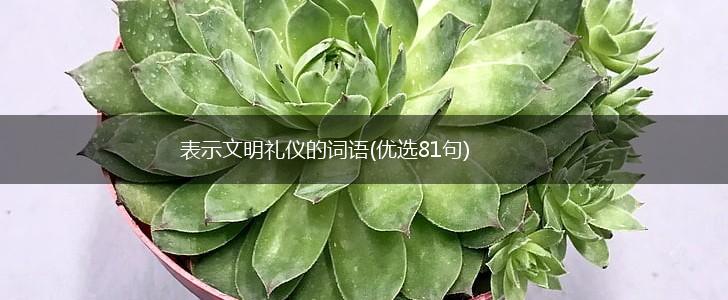 表示文明礼仪的词语(优选81句),第1张