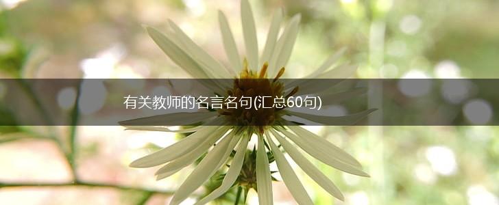 有关教师的名言名句(汇总60句),第1张 有关教师的名言名句(汇总60句),第1张