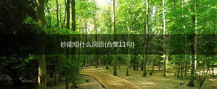 砂能组什么词语(合集11句),第1张