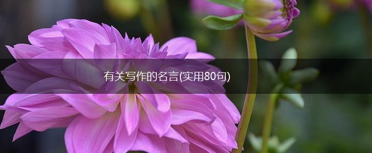 有关写作的名言(实用80句),第1张
