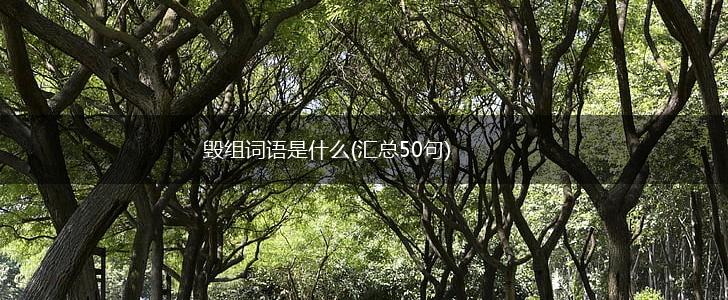 毁组词语是什么(汇总50句),第1张 毁组词语是什么(汇总50句),第1张