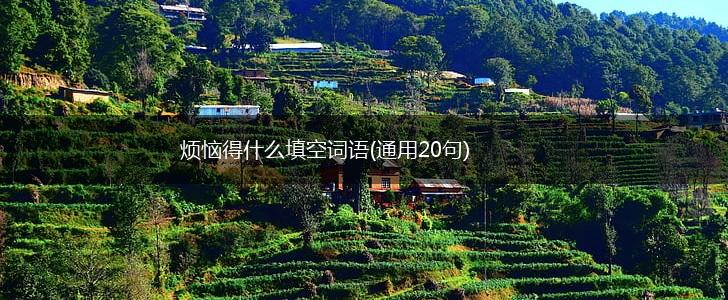 烦恼得什么填空词语(通用20句),第1张