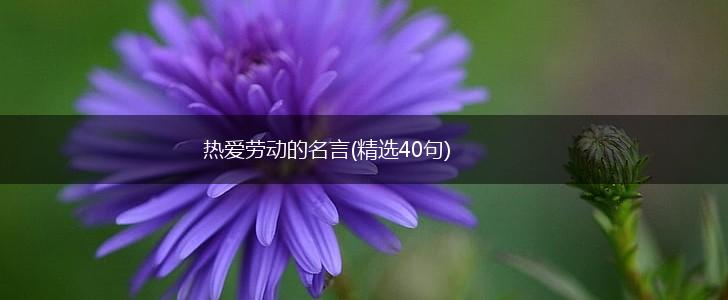 热爱劳动的名言(精选40句),第1张