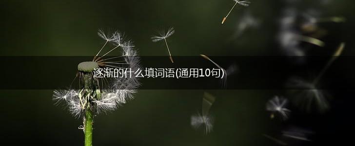 逐渐的什么填词语(通用10句),第1张