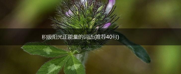 积极阳光正能量的词语(推荐40句),第1张