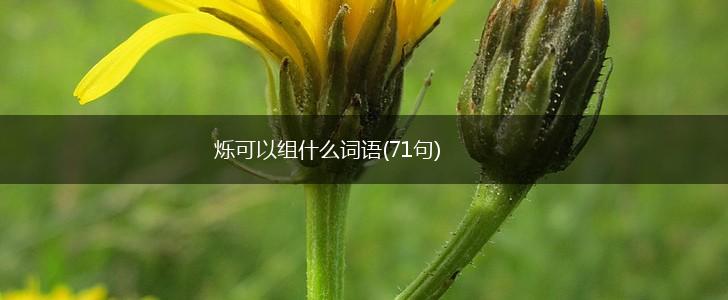 烁可以组什么词语(71句),第1张