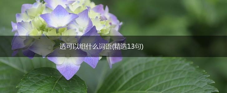 透可以组什么词语(精选13句),第1张