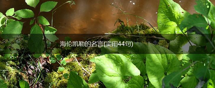 海伦凯勒的名言(实用44句),第1张