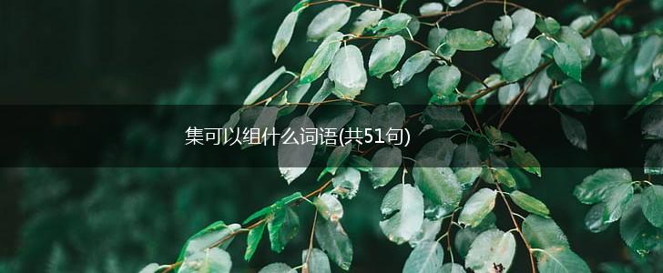 集可以组什么词语(共51句),第1张