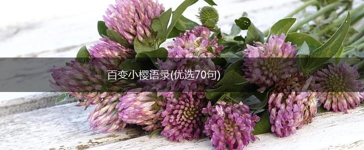 百变小樱语录(优选70句),第1张