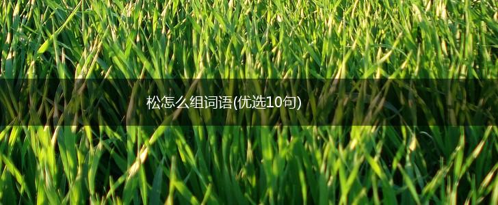 松怎么组词语(优选10句),第1张