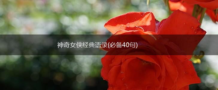神奇女侠经典语录(必备40句),第1张