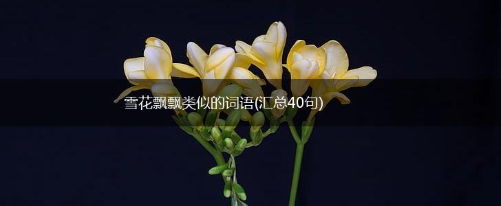 雪花飘飘类似的词语(汇总40句),第1张