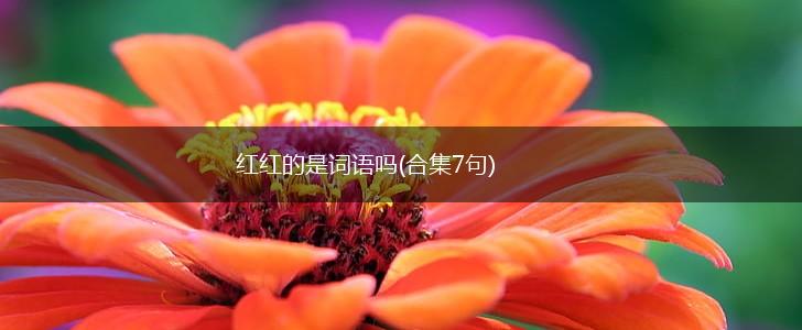 红红的是词语吗(合集7句),第1张