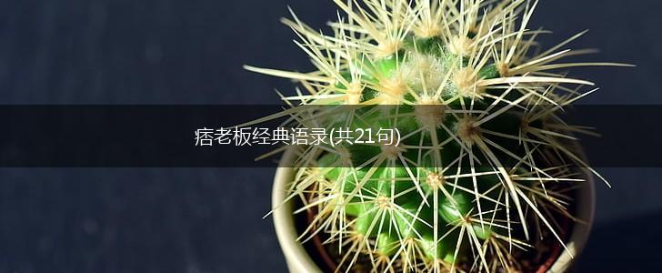 痞老板经典语录(共21句),第1张