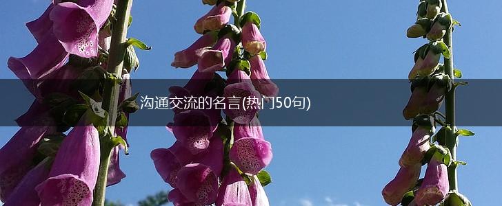 沟通交流的名言(热门50句),第1张 沟通交流的名言(热门50句),第1张