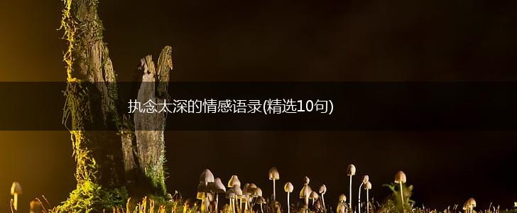 执念太深的情感语录(精选10句),第1张