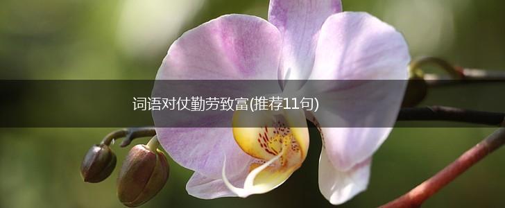 词语对仗勤劳致富(推荐11句),第1张