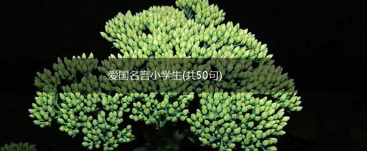 爱国名言小学生(共50句),第1张