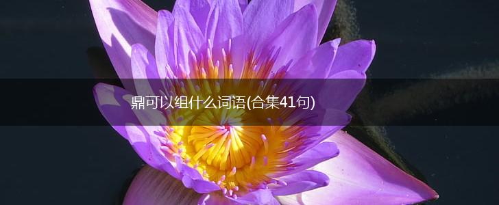 鼎可以组什么词语(合集41句),第1张