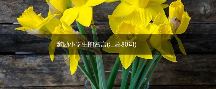 激励小学生的名言(汇总80句),第1张