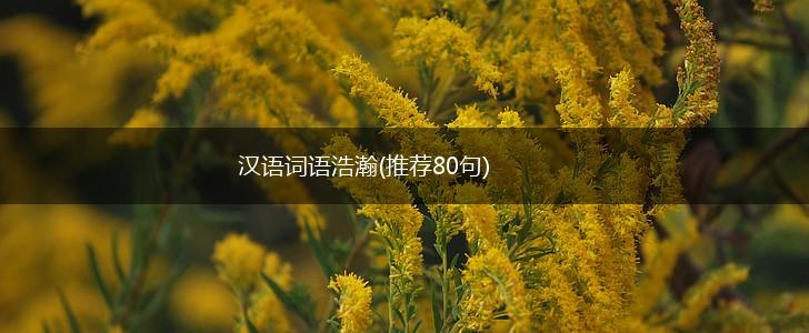 汉语词语浩瀚(推荐80句),第1张