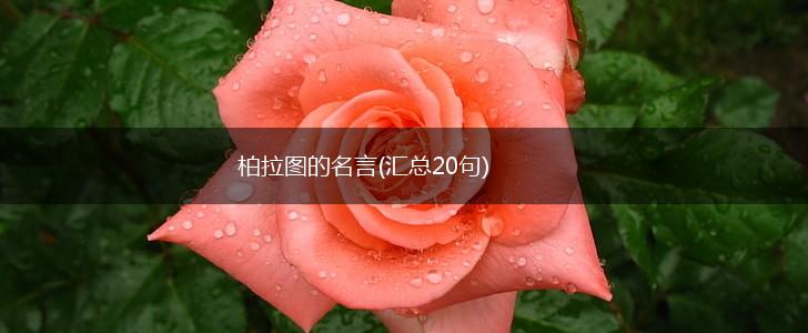 柏拉图的名言(汇总20句),第1张