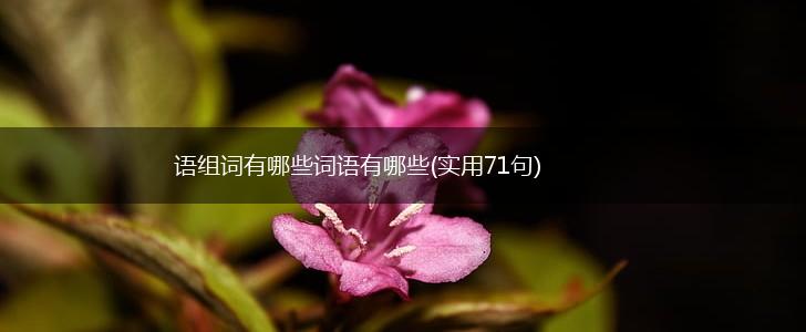 语组词有哪些词语有哪些(实用71句),第1张