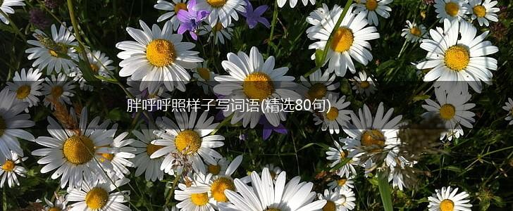 胖呼呼照样子写词语(精选80句),第1张 胖呼呼照样子写词语(精选80句),第1张