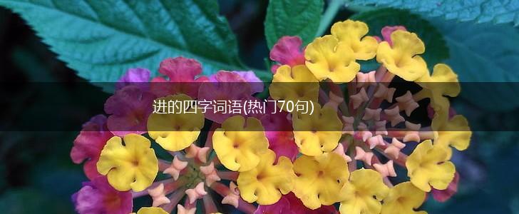 进的四字词语(热门70句),第1张