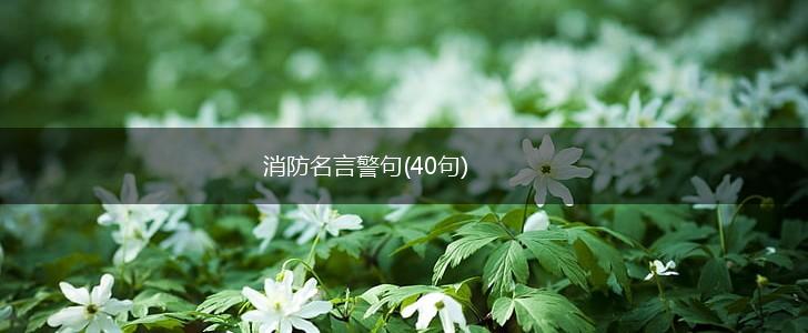 消防名言警句(40句),第1张 消防名言警句(40句),第1张