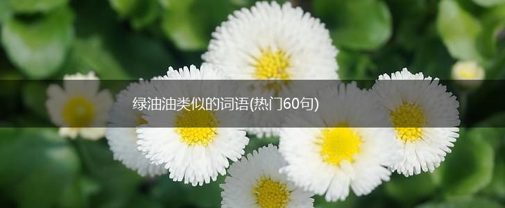 绿油油类似的词语(热门60句),第1张 绿油油类似的词语(热门60句),第1张