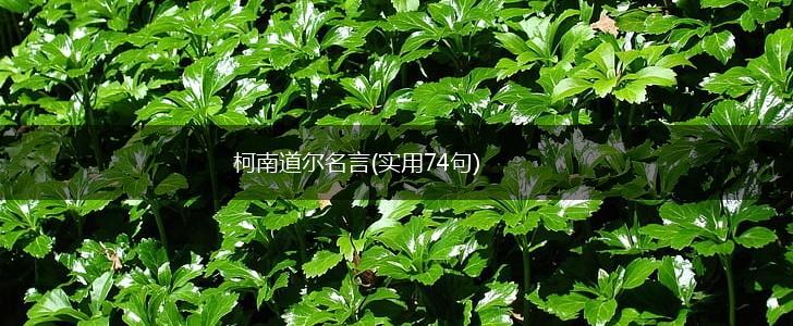 柯南道尔名言(实用74句),第1张