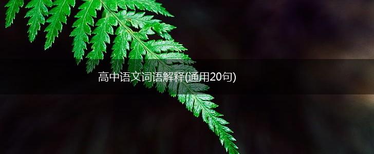 高中语文词语解释(通用20句),第1张