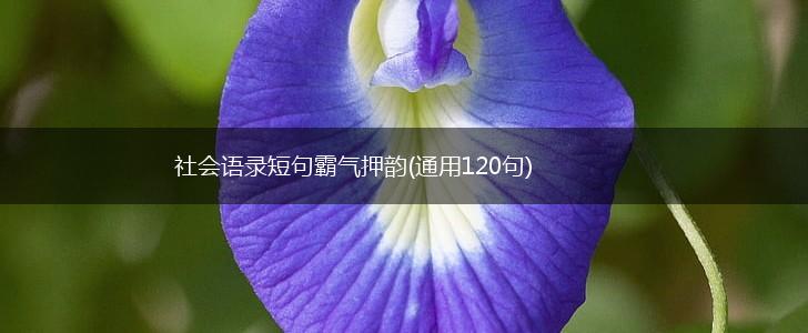 社会语录短句霸气押韵(通用120句),第1张