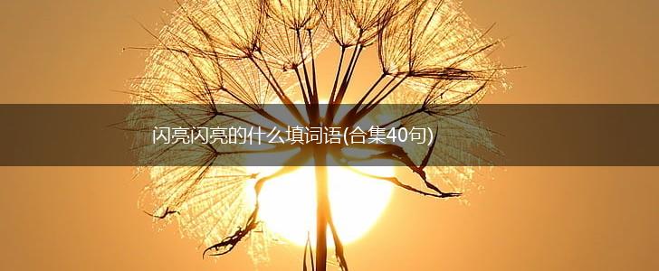 闪亮闪亮的什么填词语(合集40句),第1张