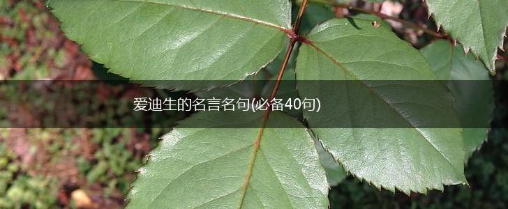 爱迪生的名言名句(必备40句),第1张