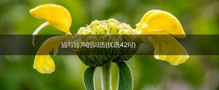 描写铃声的词语(优选42句),第1张 描写铃声的词语(优选42句),第1张