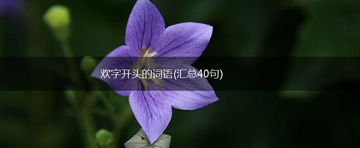 欢字开头的词语(汇总40句),第1张