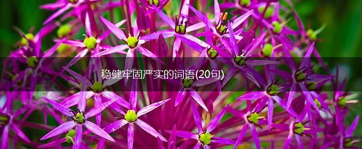 稳健牢固严实的词语(20句),第1张