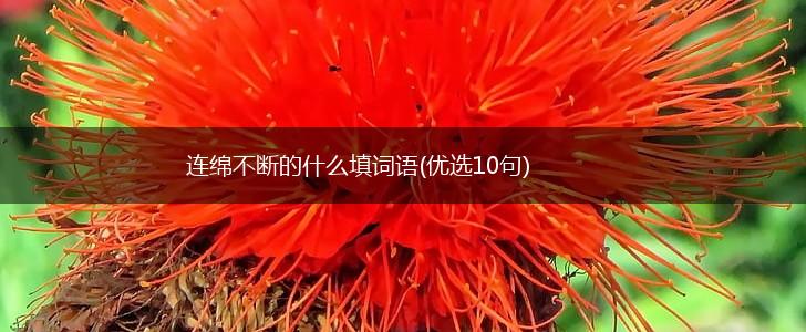 连绵不断的什么填词语(优选10句),第1张
