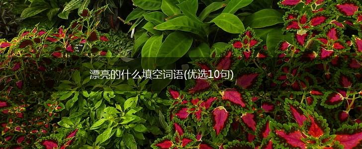 漂亮的什么填空词语(优选10句),第1张