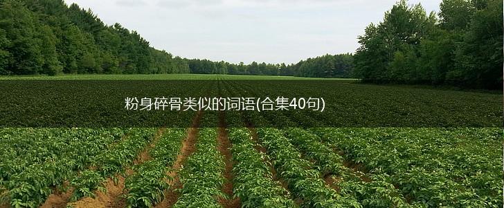 粉身碎骨类似的词语(合集40句),第1张