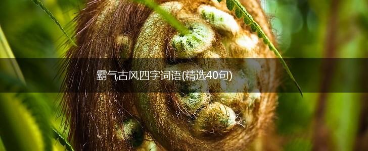 霸气古风四字词语(精选40句),第1张