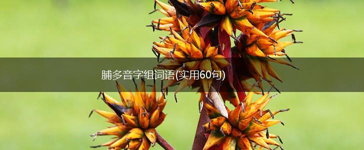 脯多音字组词语(实用60句),第1张