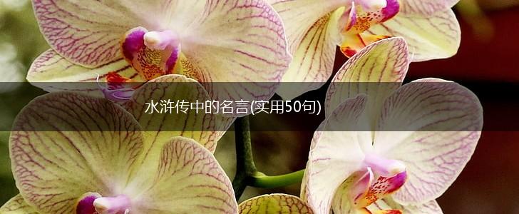 水浒传中的名言(实用50句),第1张