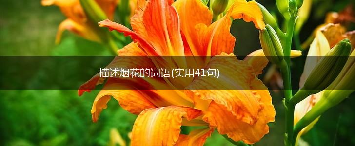 描述烟花的词语(实用41句),第1张