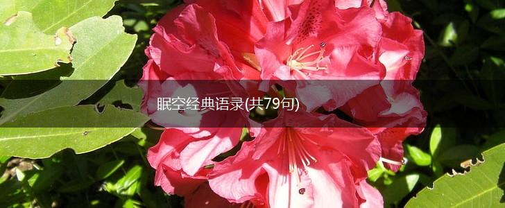 眠空经典语录(共79句),第1张